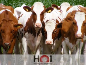 PARAGUAY LEADS SOUTH AMERICA’S MEAT EXPORTS