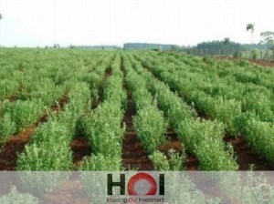 PARAGUAY AVANZA EN LA EXPLORACIÓN TECNOLÓGICA Y CIENTÍFICA